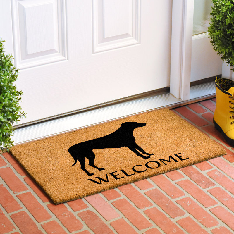 Non-Slip Indoor Doormat, 17" W x 29" L