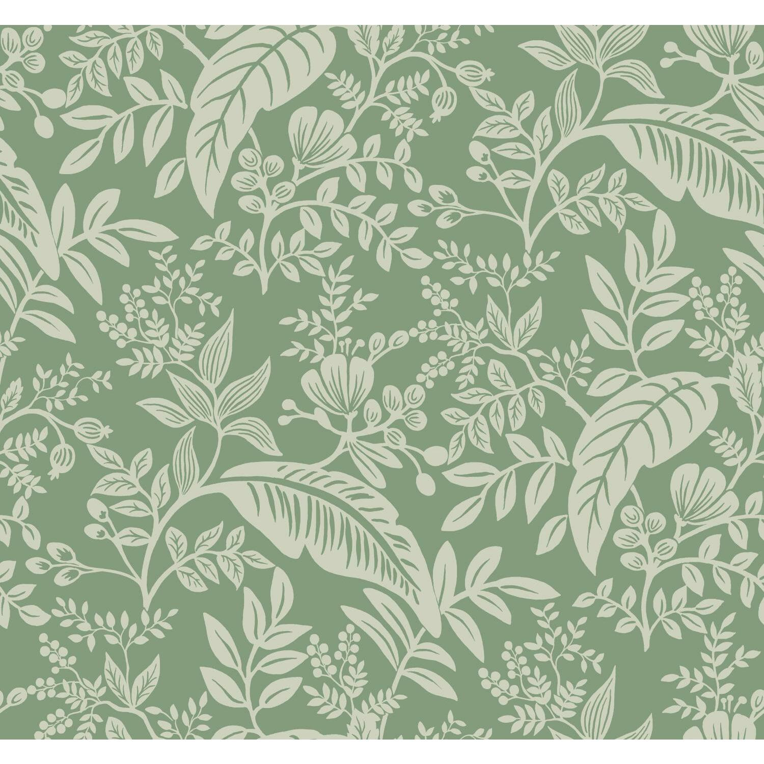 Canopy Wallpaper Double Roll, Sage