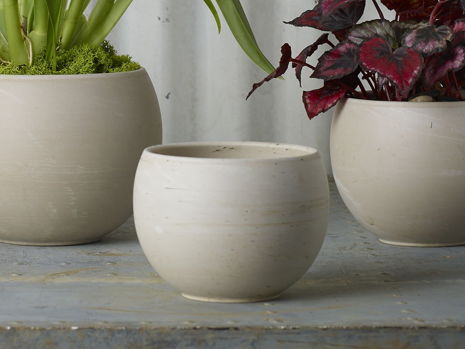 Ceramic Pot Planter, Tan, 3.5" H x 4.75" W x 4.75" D