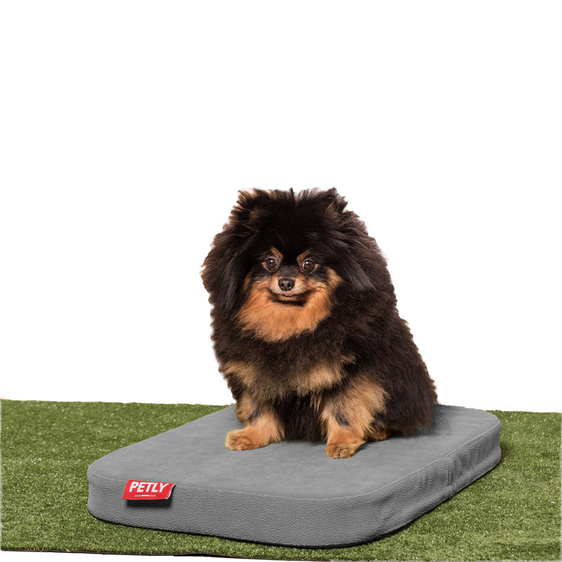 Orthopedic Microfibre Pet Bed, Light Grey, Medium (80cm W x 60cm D)