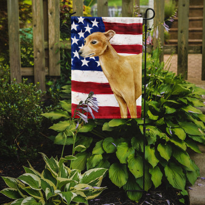2 côtés en polyester de 2 côtés american drapeau de jardin