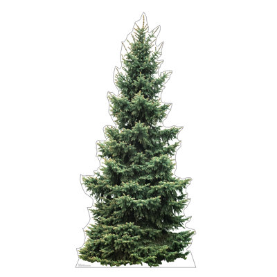 Sapin