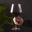 Verres bourgogne en cristal Raye