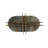 14" Komi Green Malakite Tray