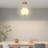 Glass Flush Mount