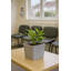 Daisy Square Stone Effect Planter Pot, Indoor and Outdoor Plant Pot, Frost Resistant with Drainage Hole-322213144-322213146