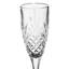 Cinda 210ml Flute Set