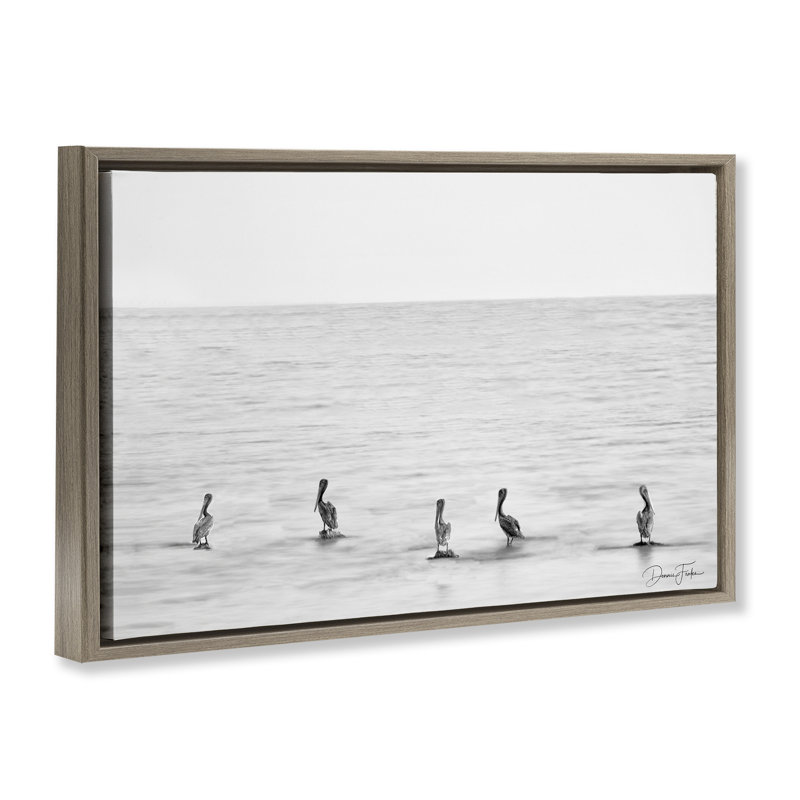 «Pelicans on Shore», toile flottante encadrée par Dennis Frates, Cadre flottant orme Montalcino, H 21 po x l 31 po