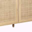 Buffet 62,2 po Aera-2007179812
