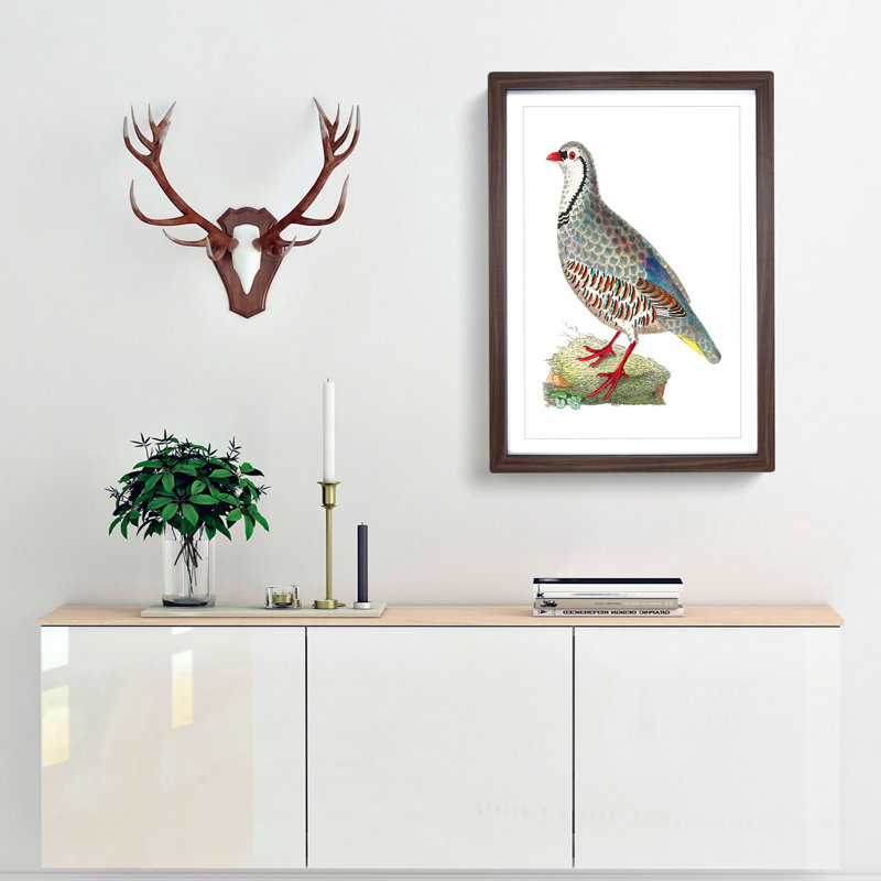 Red Partridge by George Shaw - Framed Print, Walnut Framed, 48cm H x 36cm W x 2cm D