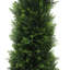 Yarbro Cedar Topiary in Planter-20583798