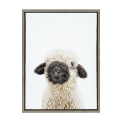 Reproduction d'art sur toile encadrée Animal Studio par Amy Peterson