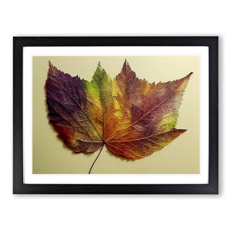 Autumn Leaf Vol.1 - Single Picture Frame Print, 46cm H x 64cm W x 2cm D, Black Framed