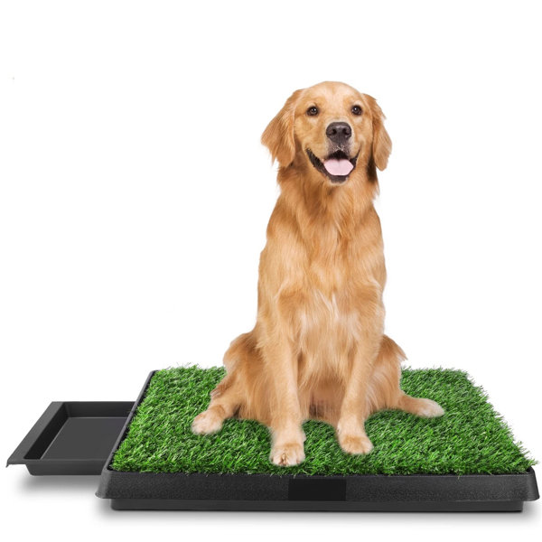 Dog / Puppy Toilet with Artificial Grass-25*20*2.4 Inches - Pet Training Mat - for Small, Large, Older Dogs Tucker Murphy Pet