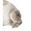Animals Ceramic / Porcelain Garden Statue