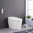 Smart Bidet Combo Toilet with Self-Cleaning Nozzle and Remote Control