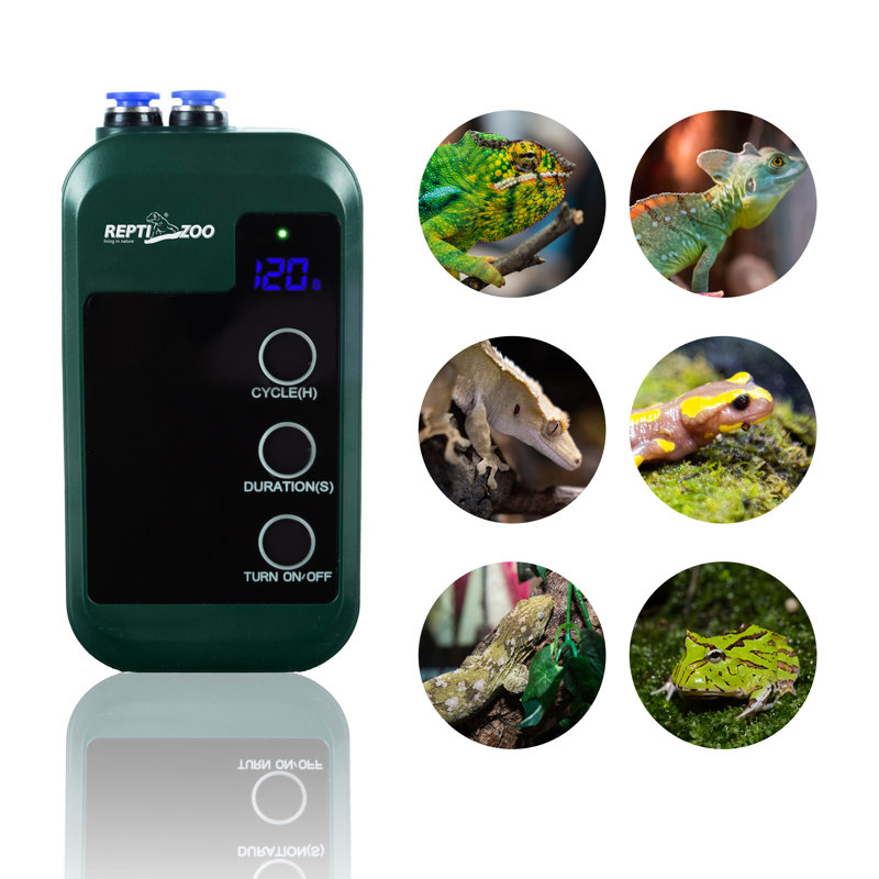 Plastic Reptile Starter Kit