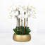 Silk Orchid Centerpiece Arrangement-1603600861-1603600803