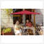 Parasol de table 10 pi