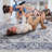 Lint-free, stylish, stain-resistant area rug-448425130