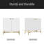Armoire d'appoint 2 portes