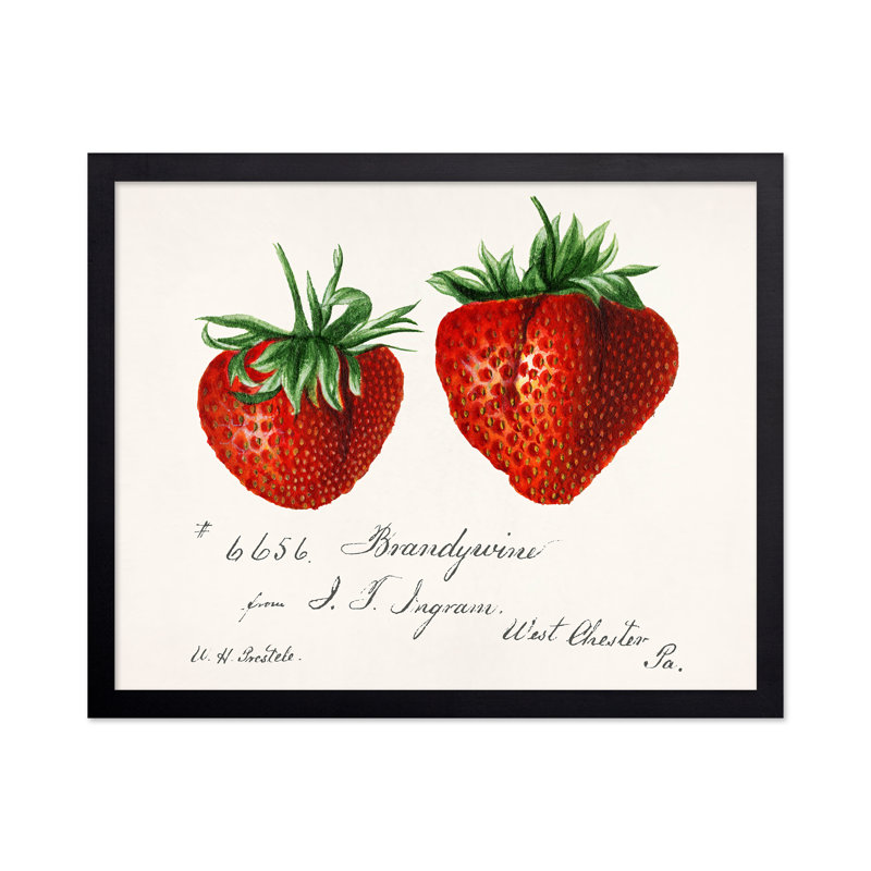 Fraises, 18"H x 24"W, Poster, Unframed