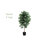 Faux Ficus Tree in Plastic Planter-192663129