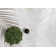 Audey Floral Area Rug