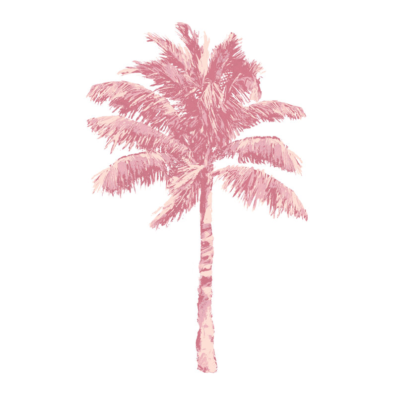 «Haverstraw Palm Pink I» sur toile par Kristen Drew, H 32 po x l 24 po