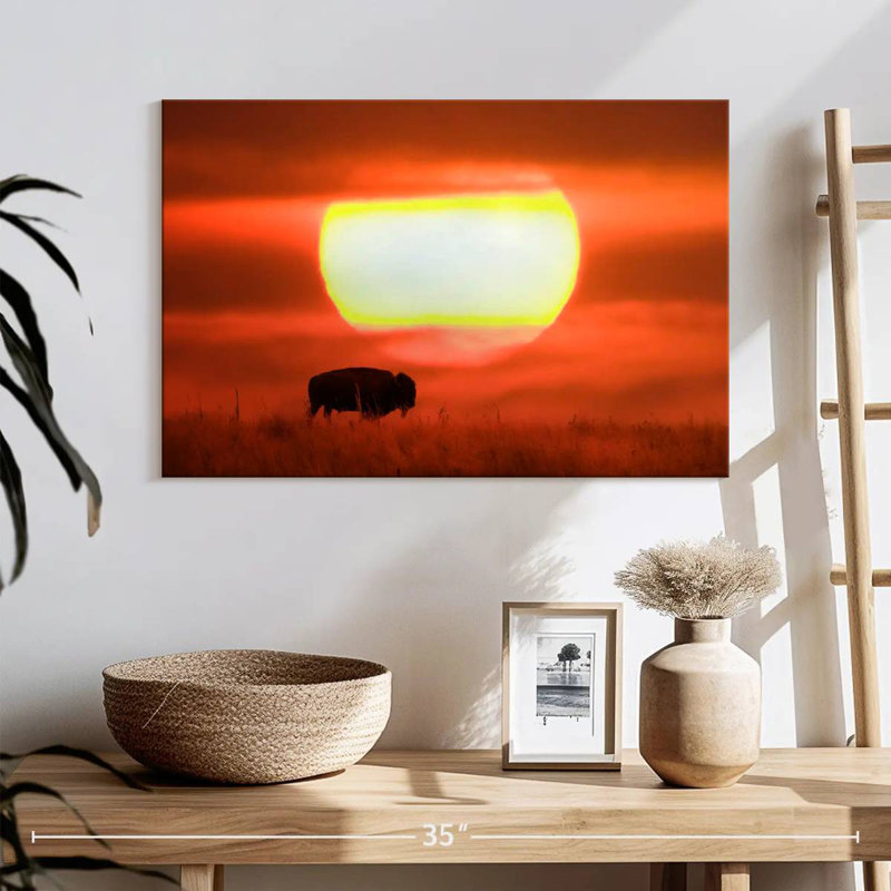 Buffle Brampt américain au coucher du soleil, H 16 po x l 24 po