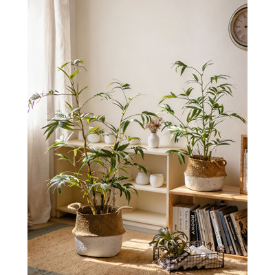 Imitation de verdure en pot de bambou de style moderne en pot pour décoration intérieure