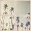 Palm Cool Breeze Quadrupych par Marmont Hill - photographie de 4 pièces-1167538814