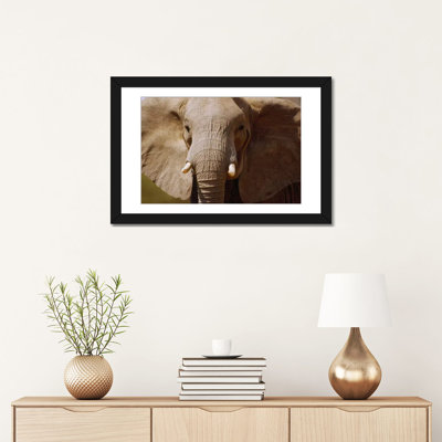 « africain éléphant close up amboseli national park kenya », reproduction de photo sur toile