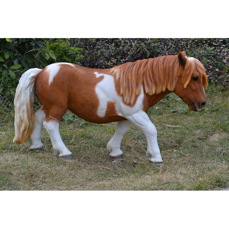Shetland Pony