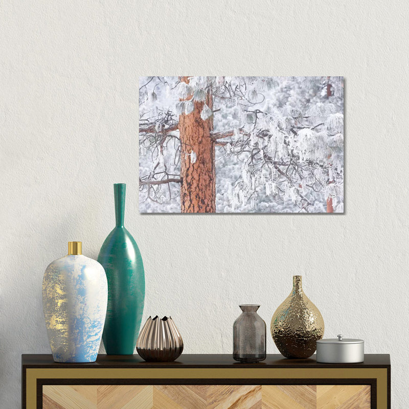Wind-blown Frosted Snow On Trees, Mt. Hood National Forest, Oregon by Stuart Westmorland - Gallery-Wrapped Canvas Giclée on Canvas