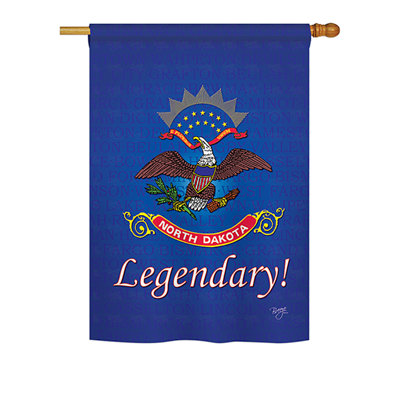 Double Sided Polyester House Flag