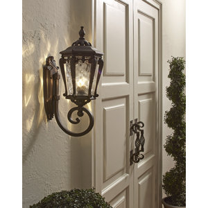 Berrios Outdoor Wall Lantern