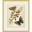Prevailing Nature 5 Painting