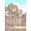 Wrapped Canvas Print-582020623
