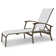 Askar Outdoor Rust-Resistant Metal Chaise Lounge