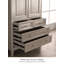 Armoire American Light Luxury