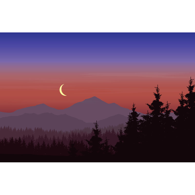 Vector Illustration Of Forest par - Photographie sur toile tendue, H 8 po x l 12 po