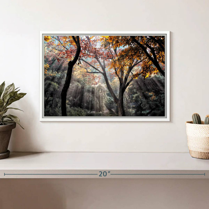 Rayons de soleil de la forêt, Cadre flottant blanc, 13 po x 9 po