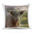 Vache brune n'est pas disponible