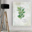 Reproduction d'art graphique sur toile Premium "Fresh Oregan" par Carol Robinson-19904291