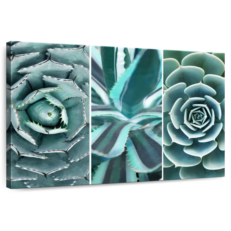 Harnek Different Succulents, 34" H x 51" W