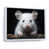 White Floater Framed