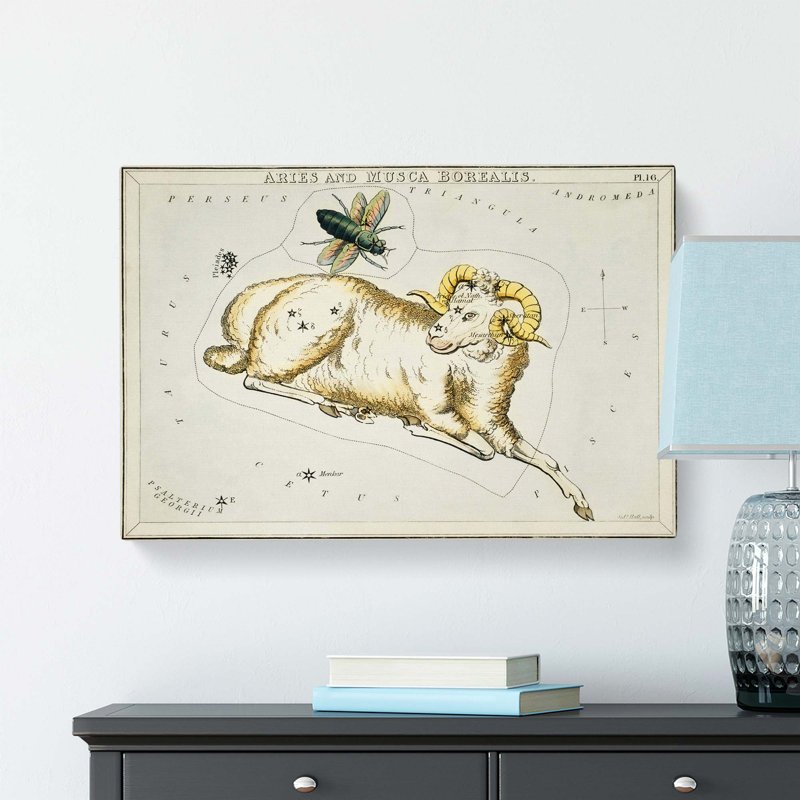 Astronomical Zodiac Chart of the Aries Drawing - Wrapped Canvas, 35 cm H x 50 cm W