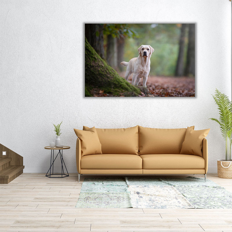 «Yellow Labrador Retriever debout dans une forêt», reproduction d'art sur toile, H 16 po x l 24 po