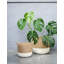 Geilo Jute Lined Basket Planter-643989596-643989599